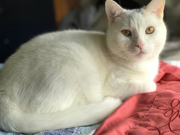 012a24564fb21804dfc5f63137