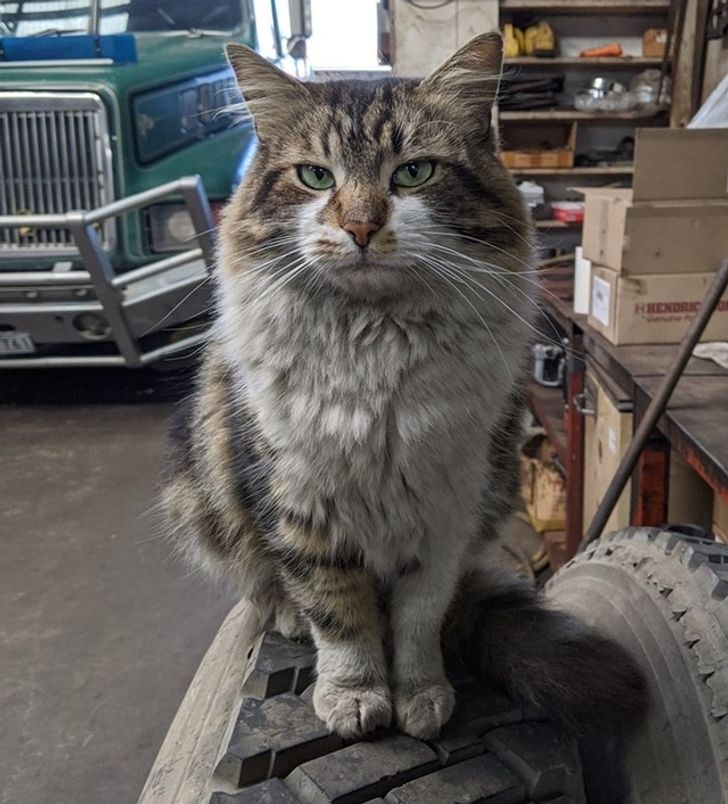 012a7857f69d6ec5b147898add