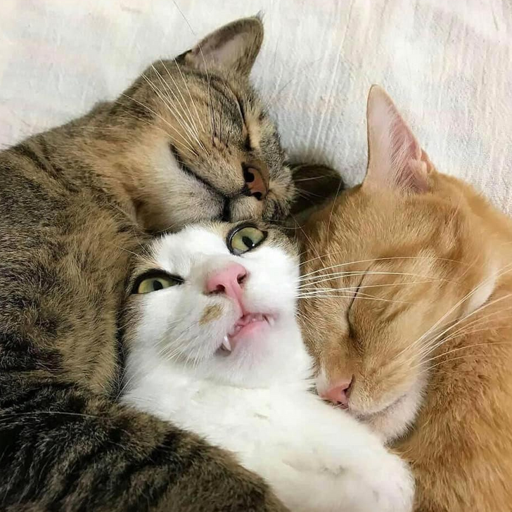 012b9859be974c285e62a695e6