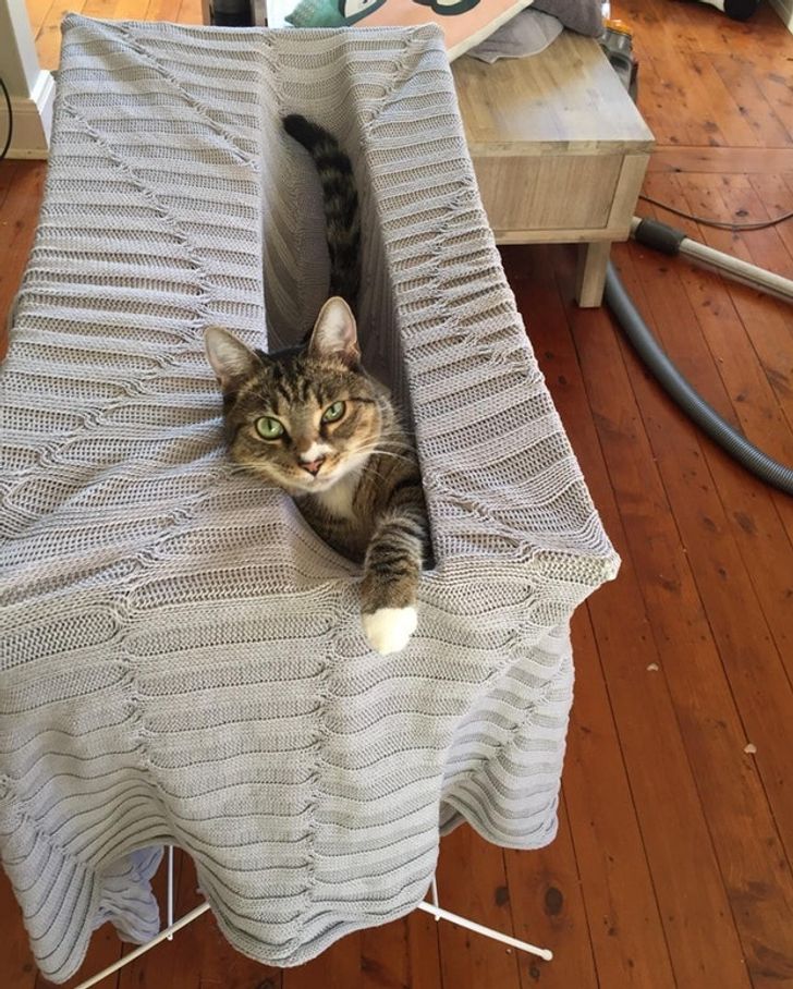 012e8d5e718f8d540a2e8b808e 012e8d5e718f8d540a2e8b808e