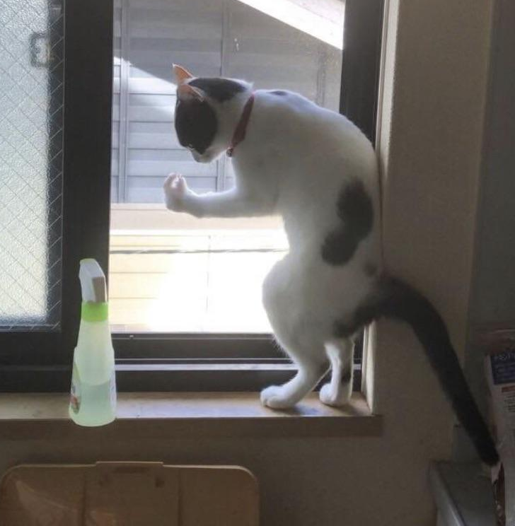 0131e050449f0af6333e2831b5