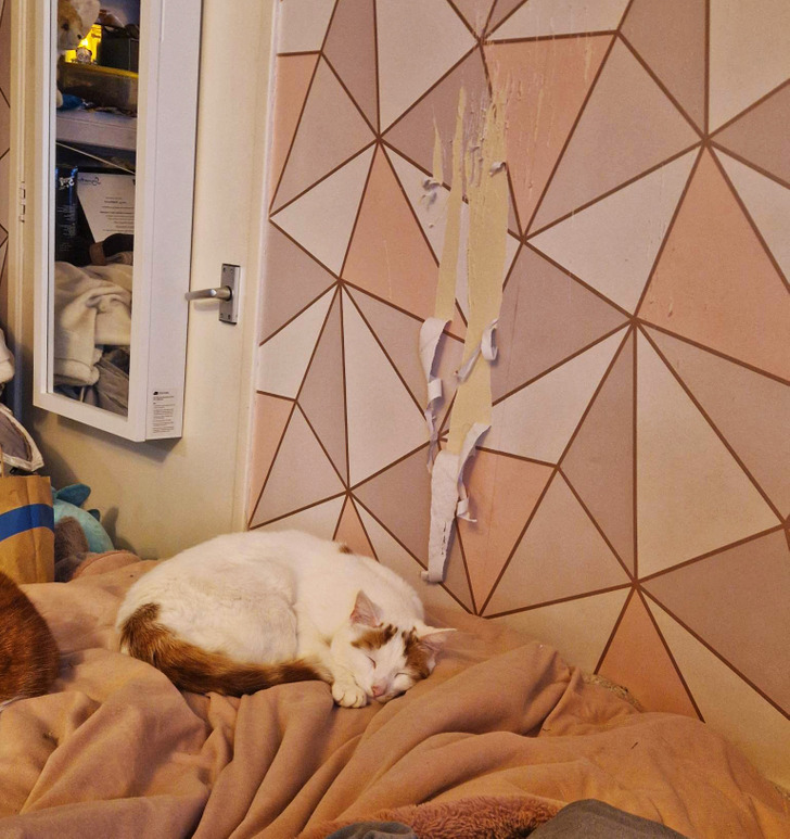 01328f54669562f3df11b8db82