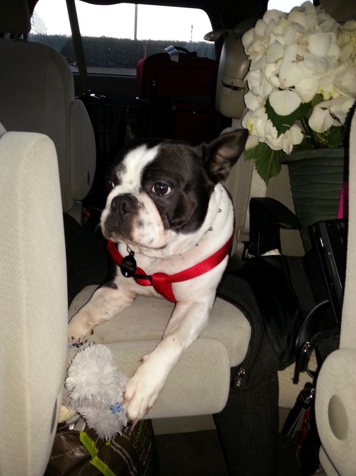 01332e5a68925070cf9ff473a8