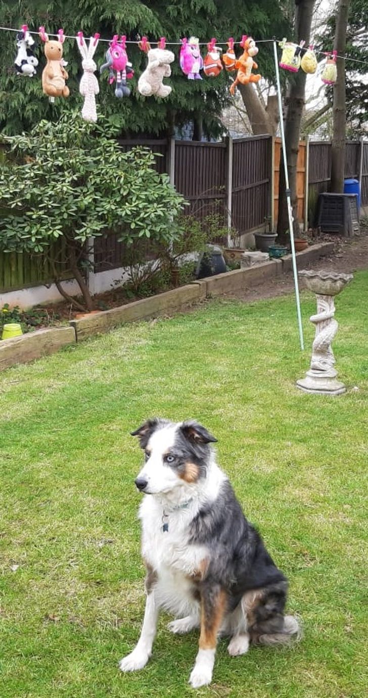 013a225124b337904c7557fab9