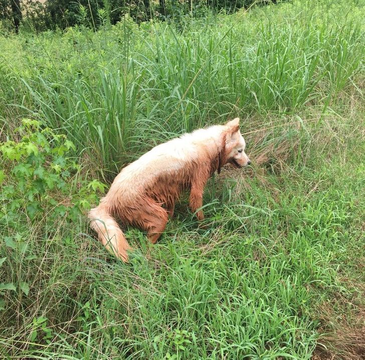 013b095a2aa76adc57337e7ba6