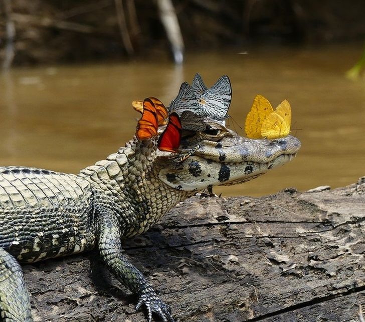 013e2a5b08aed3799dde0b5645