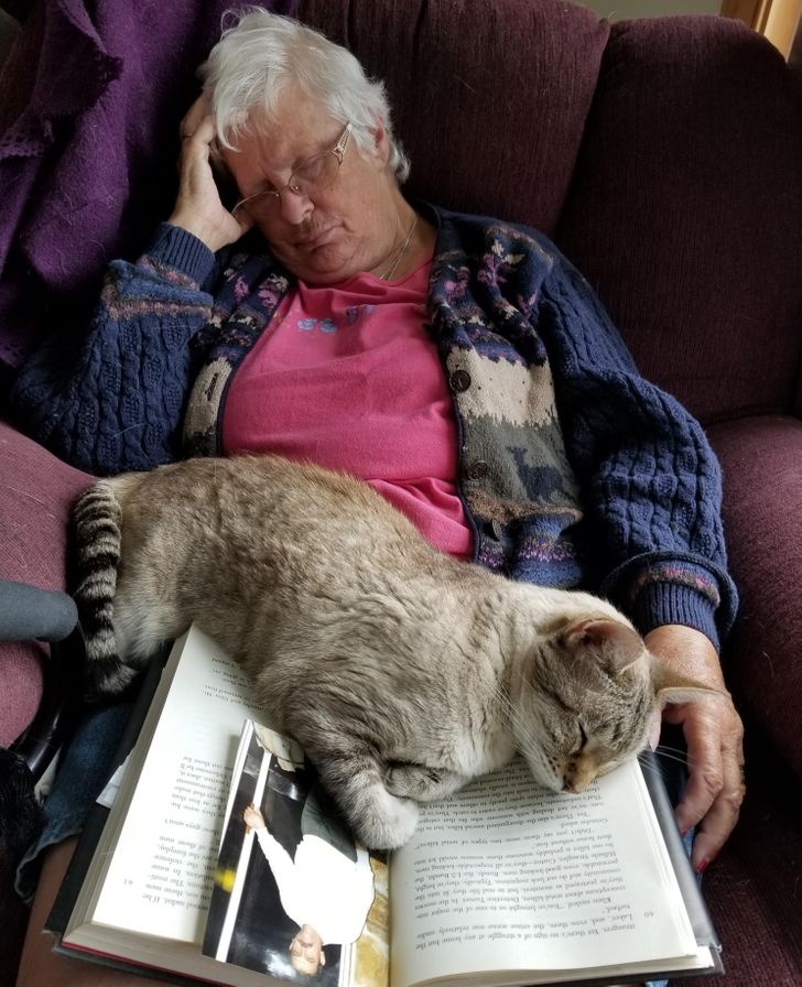 0145485d25a4132fe09651c060