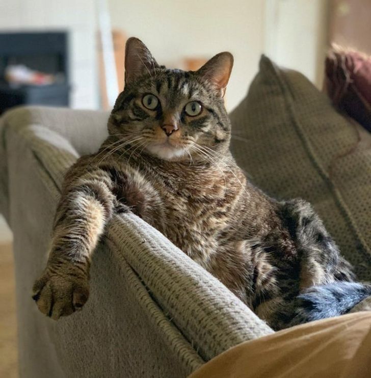 0154ba5c3f8185c974382f2466