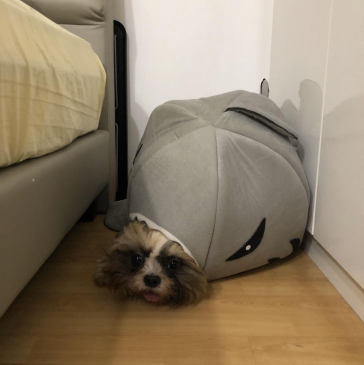 0155405bd6abfdc243c0daef1f