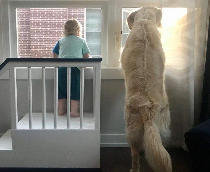 0161c851c082925e3360b8472a