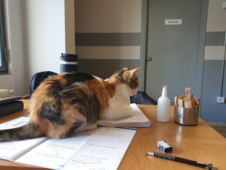 0164925fe5831867f2ad1c5fbf 0164925fe5831867f2ad1c5fbf