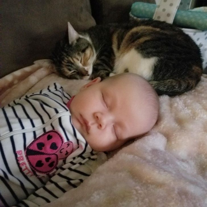 01656651219923aa416189287a