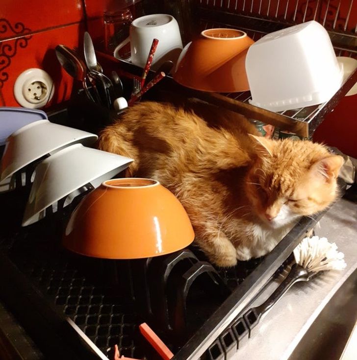 01656b53739ef2c29143fd62a7