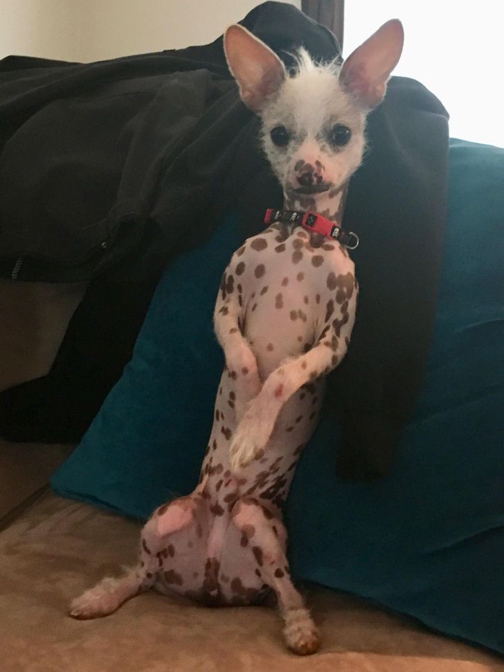 0186a45df7a5ea3015f2970d9f