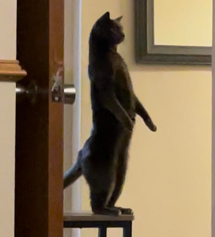 0196875c19b709abd27a399591