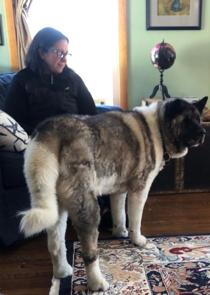 019d5459bfa899bdef10640df3