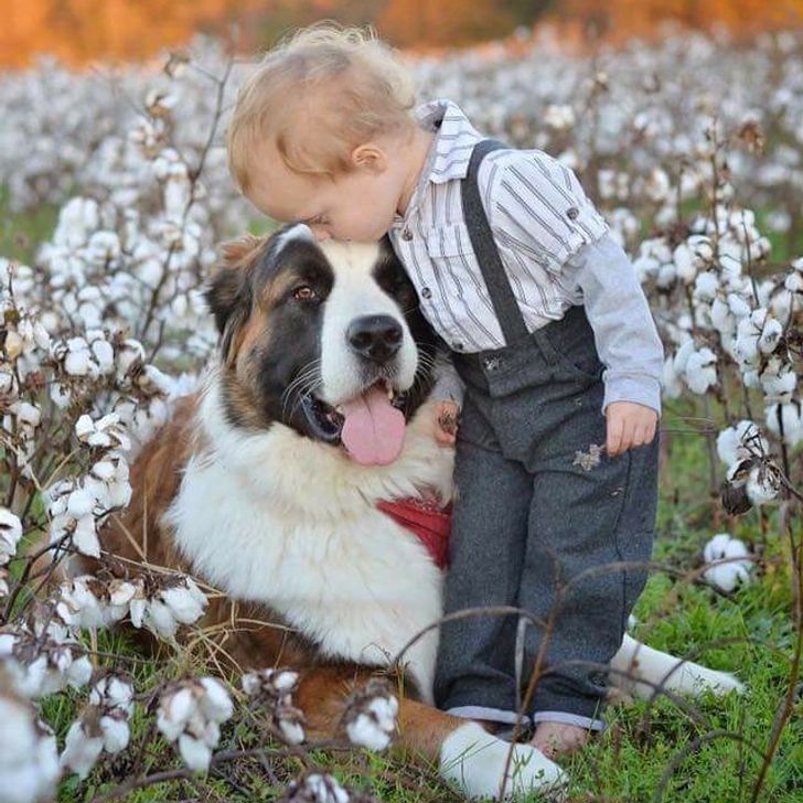 01a4ab5ee8a7dead6cd26c6193