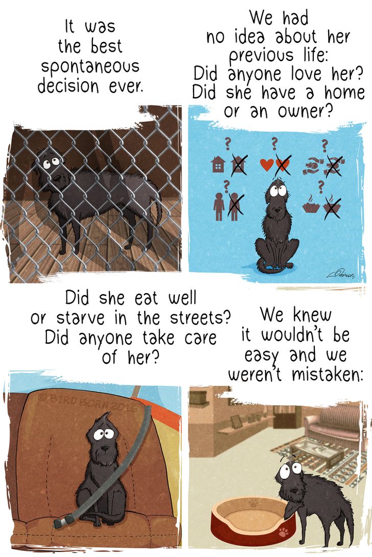 01a76f5b858be2ab885b5981d9