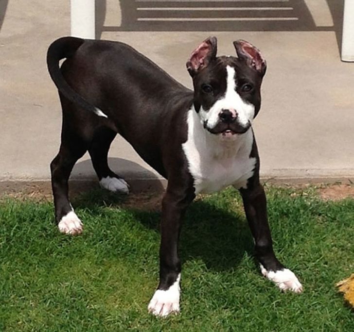 01a91556fa9f4b0ac84c70f336