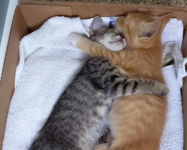 01aa2358208a0c519003fd31f0