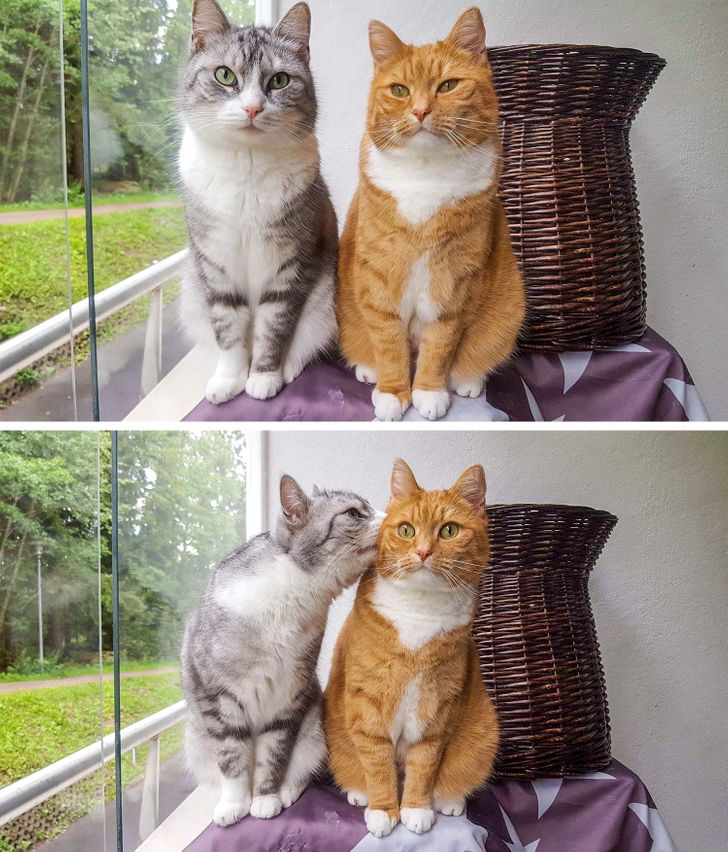 01ae85504eaec2a7eff96af06d