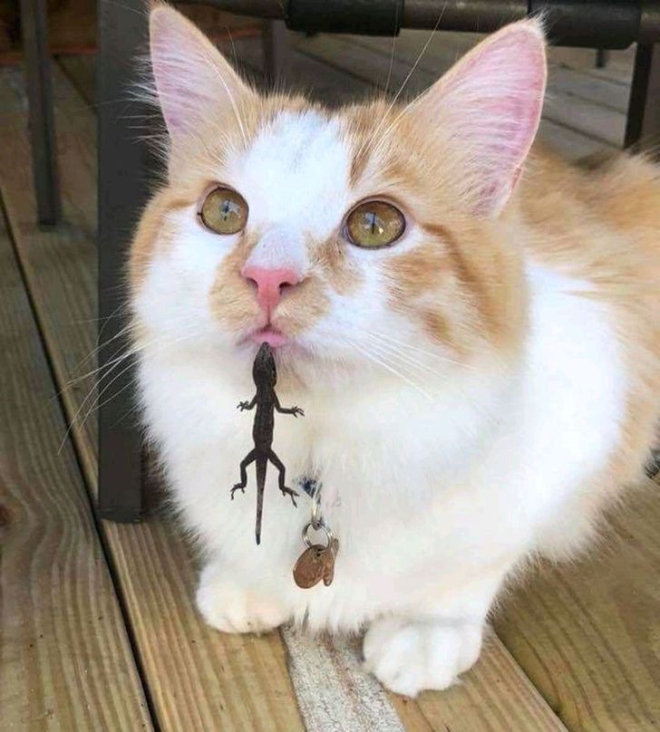 01afa7559cb3cc854ae7176a73