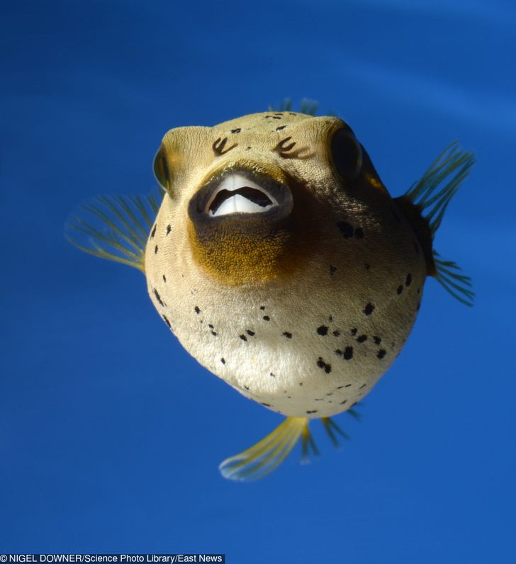 01b7a751338278bb0b3ebe0925