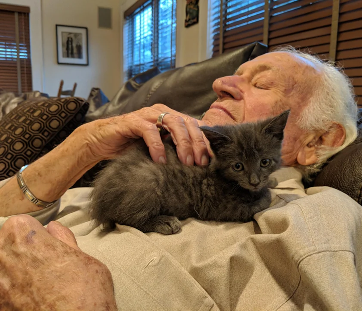 01bb145327ace01161022e780c