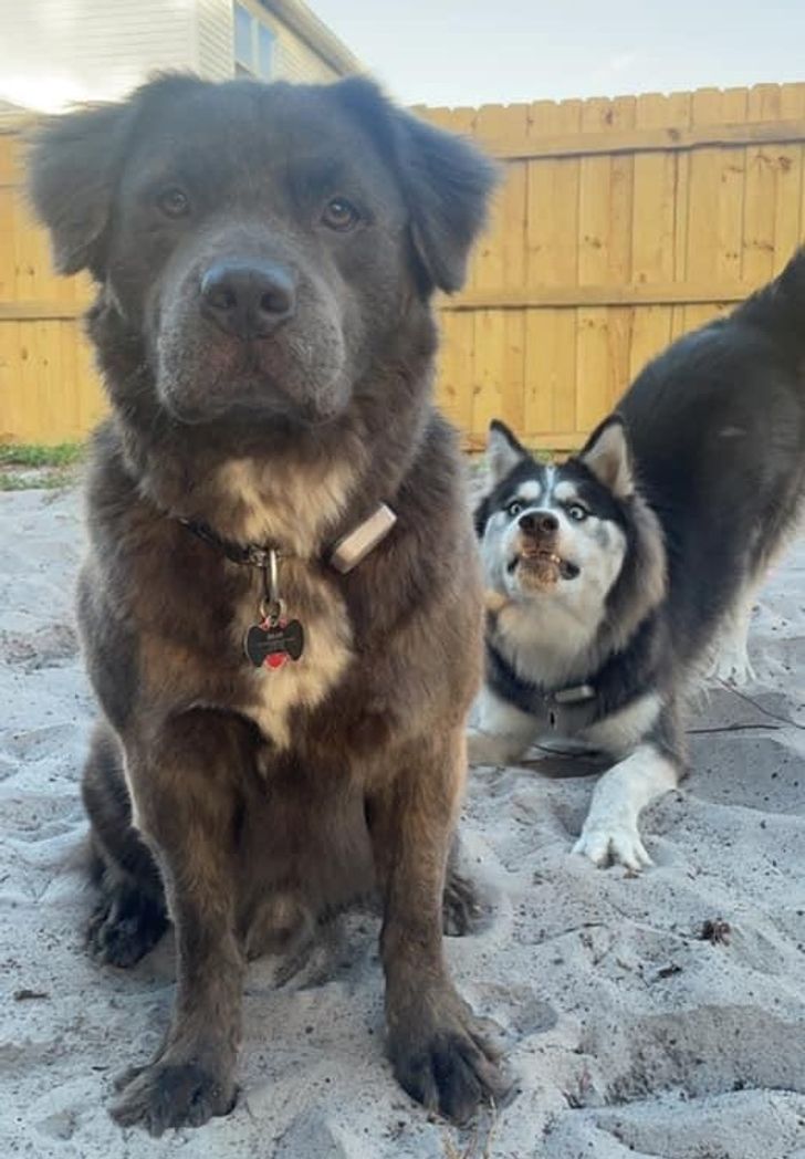 01bc225f0eae66d68ee721eacd 01bc225f0eae66d68ee721eacd