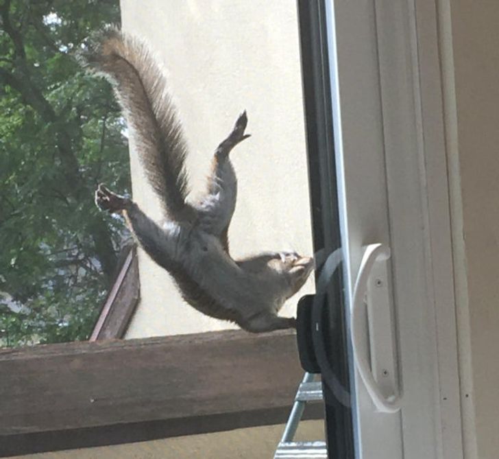 01c52a5e8c8c604a6fba2a8875