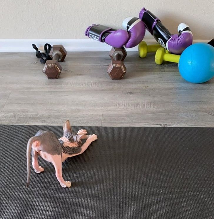 01ceb352d090bb80b39cb33e4a