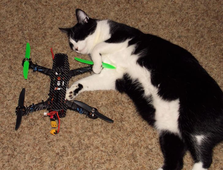 01cf065613925edfaa83687f81