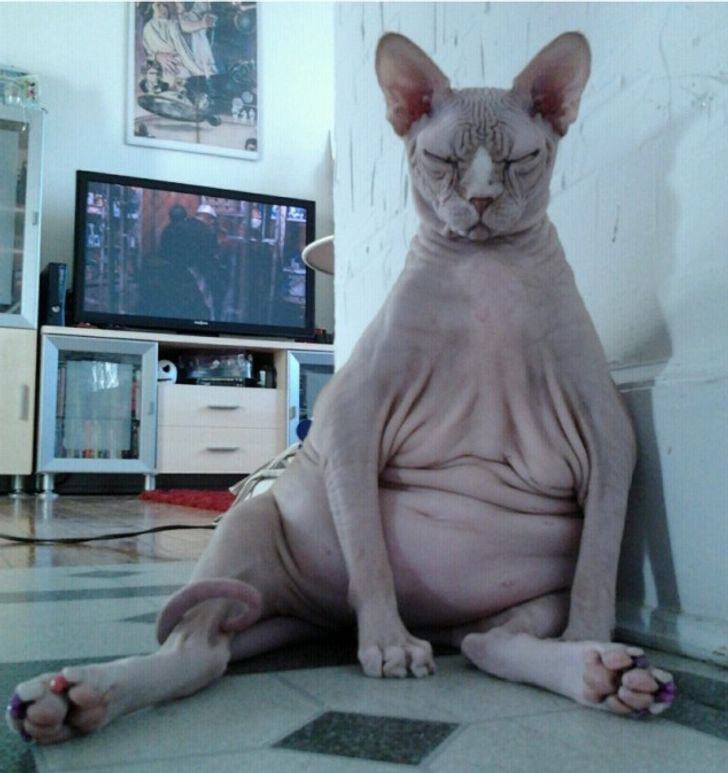 01d3bd59169a5389fd75b466f1