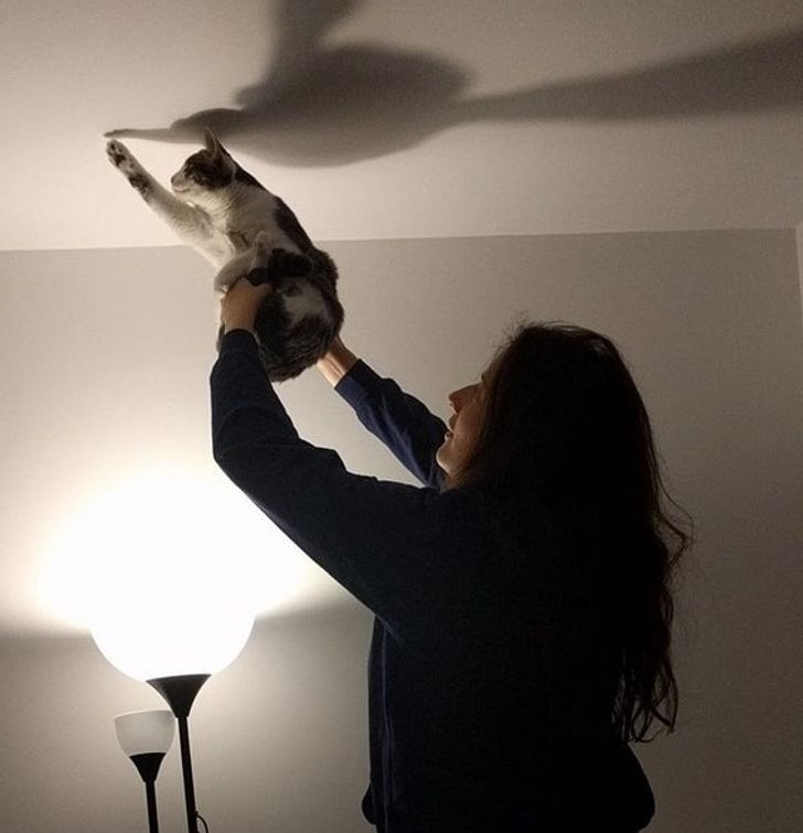 01d56d5562bab5b99ef74c8cd8 01d56d5562bab5b99ef74c8cd8