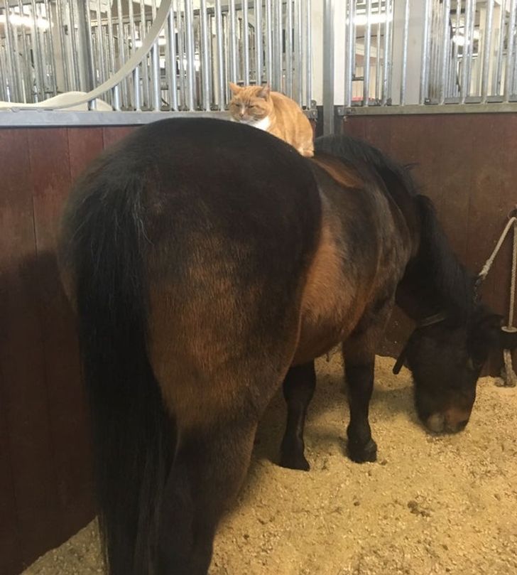 01e06650a5a397fdbef24d51bd