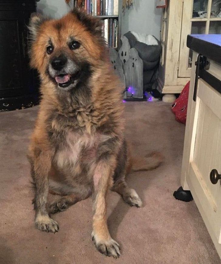 01e15054b9a72ab63aeef8be23