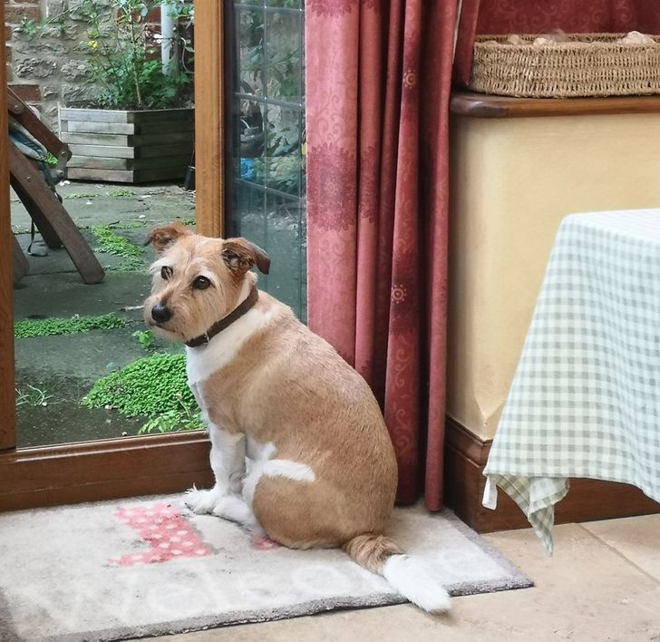 01e2ff50059a3681cfa38e3483