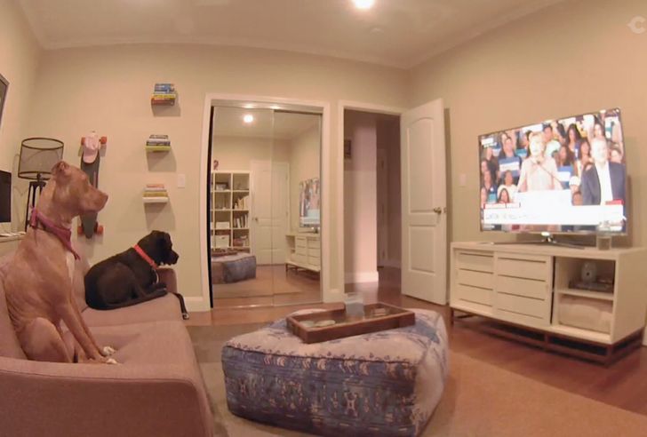 01e3f259aabbde8f4d9ce944e8