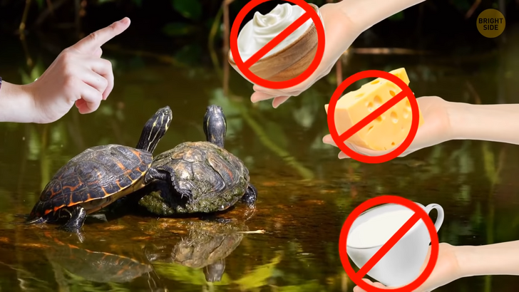 01e6165a619f9c22d231c85622