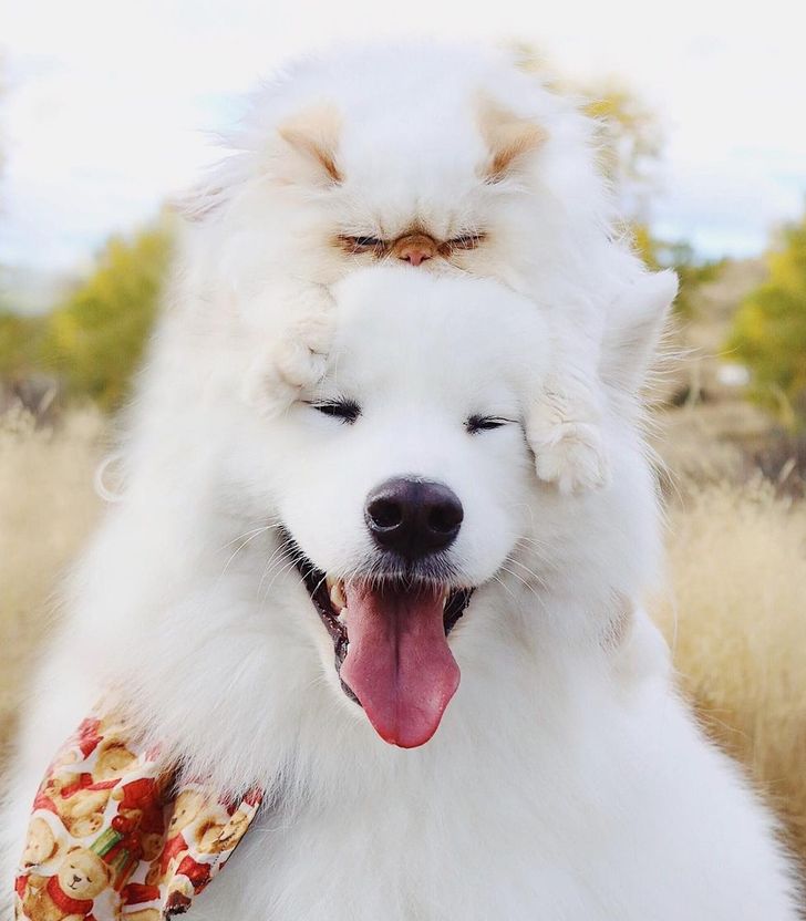 01ed2b5cb4a89bb7cd897cd1f1