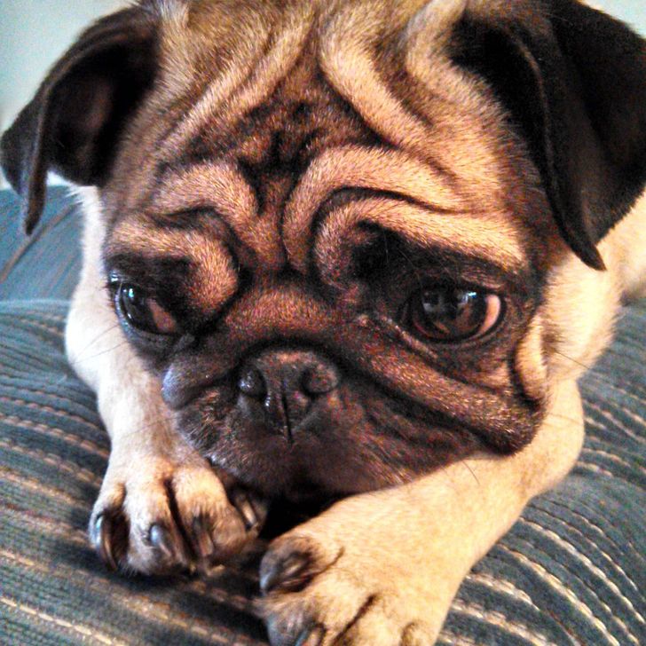 01f5685ba7aa91928984cdb1e7