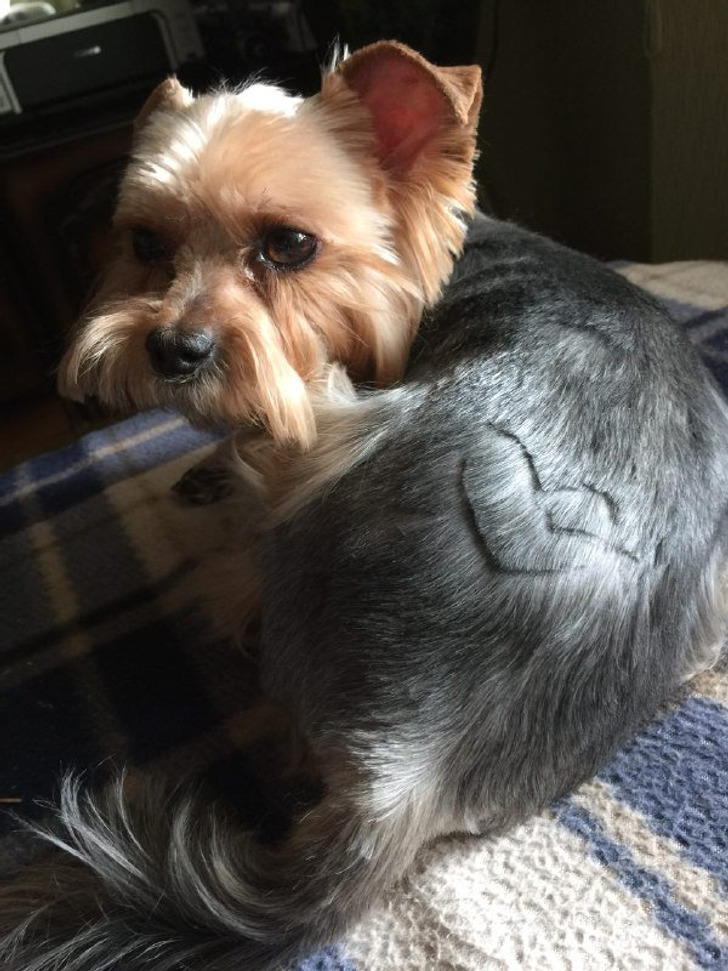 01f5b859cc87503d81bd01d257