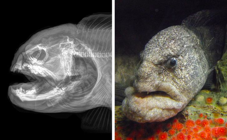 01f7fd50c3b3c188cbf07847b0