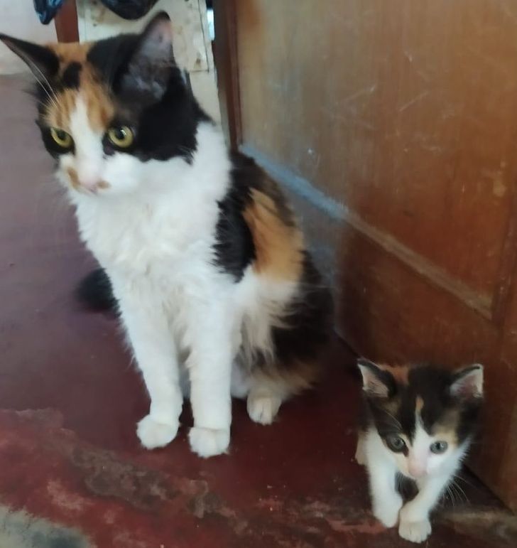 01ff38523e8420814030116df6