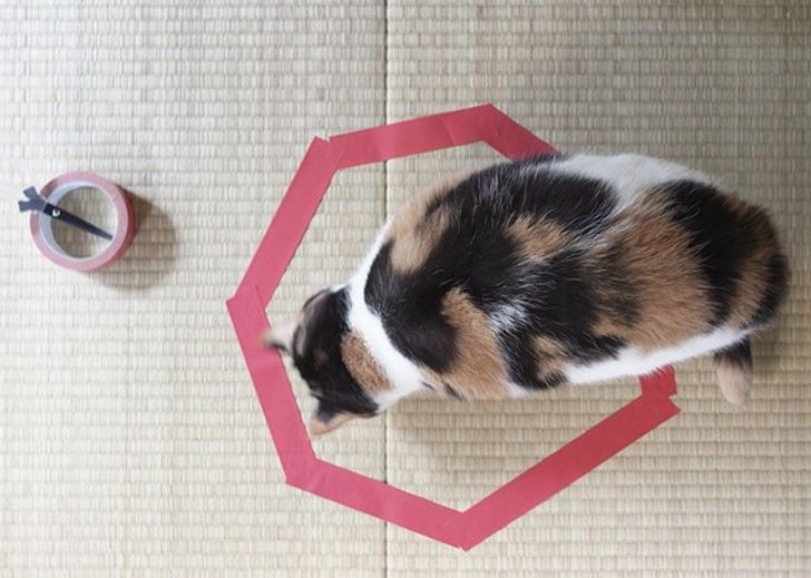 02077d5b99b294fa96f7b40386