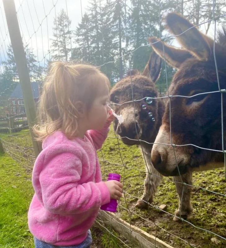 020e2a58fcbba1c20680a118a4 020e2a58fcbba1c20680a118a4