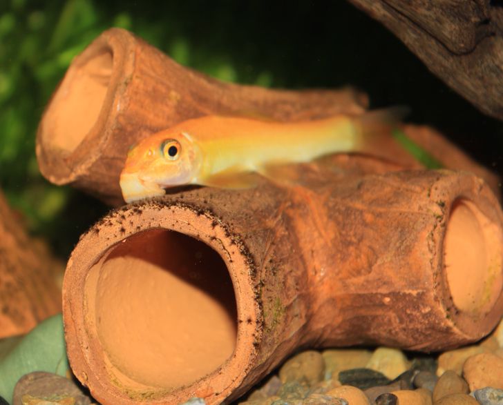 020e40553bb411e48c4ab28ac5