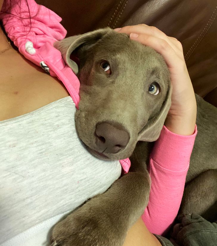 021ae350f987acaa1603e922b6