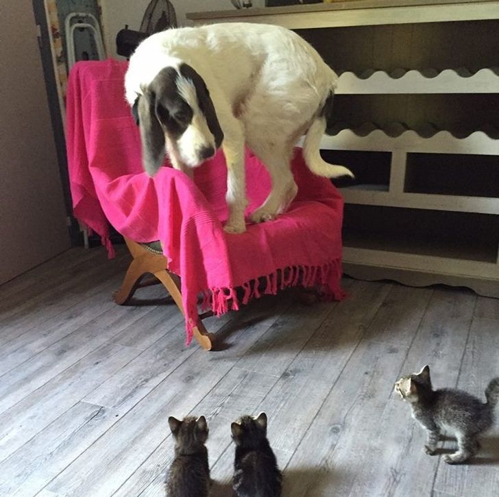 0223025610bc00e3c1a40a6215