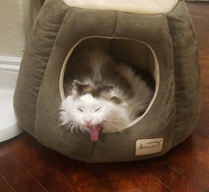 0227e85a17990c70ae593bafbe